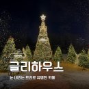 유성대로9 | 대전 글리하우스 카페 후기 | 눈 내리는 트리로 유명한 연말 카페