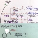 통합이론 169p 180p 라디칼반응 이미지