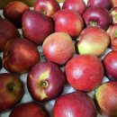 반야농장 이미지