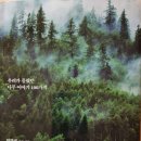숲의 인문학을 위한 나무 문답 - 황경택 지음 이미지