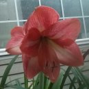 장현3리 이미지