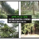 다듬이세탁