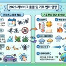 하나방역서울본부 | 2026 러브버그 천적 및 아파트 베란다 방역 주의사항, 퇴치법 정리