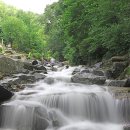 사기막골의 하루 이미지