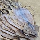 주식회사 말린