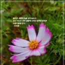 습관도 습관이다 이미지