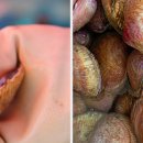 달천주유소 이미지