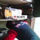 하나방역북