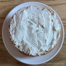 만빵 | [널담] 고단백 저당 비건 배꼽베이글 조구만빵 내돈내산 후기 with 조구만띠부씰 히든브라키오띠부씰...