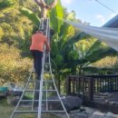 덕산3태양광 이미지