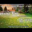 메기의 추억 네이버블로그