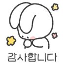 펫아이맘