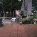 엠케이중고폰 - 서구 상무오월로3번길 10-10 | 광주 탄벌동포장이사 이삿짐센터깜놀이였어요