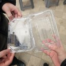 승리농장 | 파주 딸기 농장 딸기 따기 체험 월롱 딸기 :-)