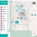 고릴라 복싱 | [2025 원더러스트 후기] 비가 내려도, 오버부킹이 되어도, 그럼에도 -