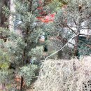 은빛세탁소 이미지