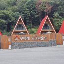 도그라운드 이미지