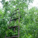 다수방아간 이미지