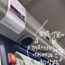 059-2 | 059. 매일은 생일