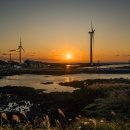 신창싱계물 이미지