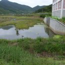 창녕비봉리패총전시관 이미지