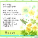 꽃씨 이미지