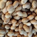 신두리농장 이미지