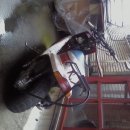 셀스타트 이미지