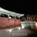 세원D&P