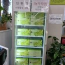 죽녹원 곤충농장