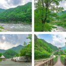 어름치마을캠핑장 이미지