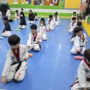 용인대용전태권도 이미지