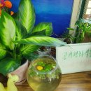 지전농장 이미지