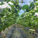 스마트웰컴퍼니 이미지