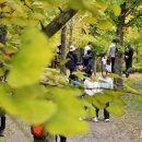 비밀정원 이미지