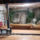 산까치식당 이미지