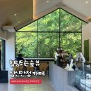 공주 카페 추천 초록초록한 숲뷰가 예쁜 카페마암