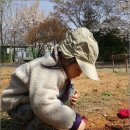 난향동-14 이미지