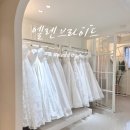 W5. 창원 웨딩드레스 엘렌브라이드 계약 후기 드레스 추가금