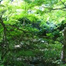 자연애민박 이미지