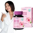 밸런스핏