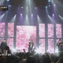 더감동삽