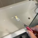 주식회사 온덴탈 네이버블로그
