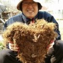 새말농장 이미지