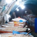 명품광천토굴새우젓 이미지