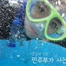 아미엘리(AMMIELLE)