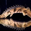 그루밍솔루션 구로점 이미지