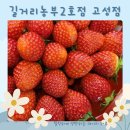 길거리농부 네이버블로그