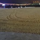 생선회 특화지역 이미지