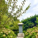 효령대군 이보묘역 | 서울 서초 효령대군묘 청권사 이보묘역 도심 속 산책코스